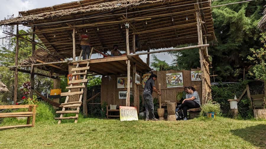From Arusha: Coffee Farm and Mangalia Waterfalls Tour - What the $55 price really covers
