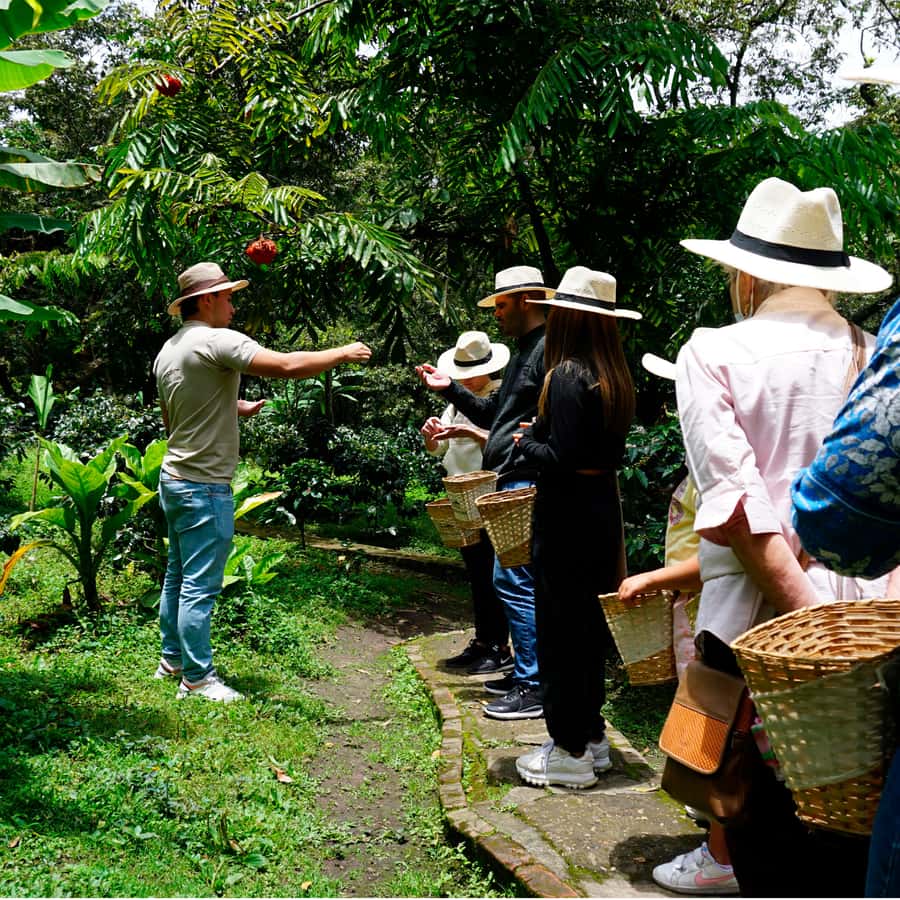 From Bogotá: Coffee Farm and Tequendama Falls Tour - Why this day trip works so well from Bogotá