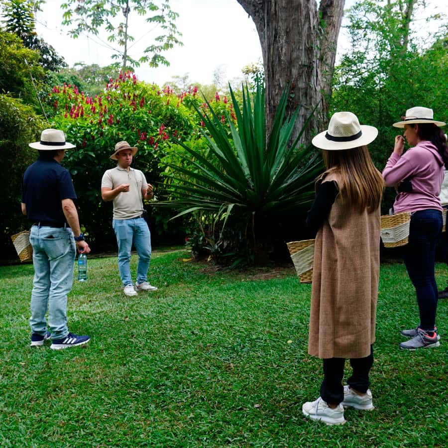From Bogotá: Coffee Farm and Tequendama Falls Tour - The guides can make or break the day