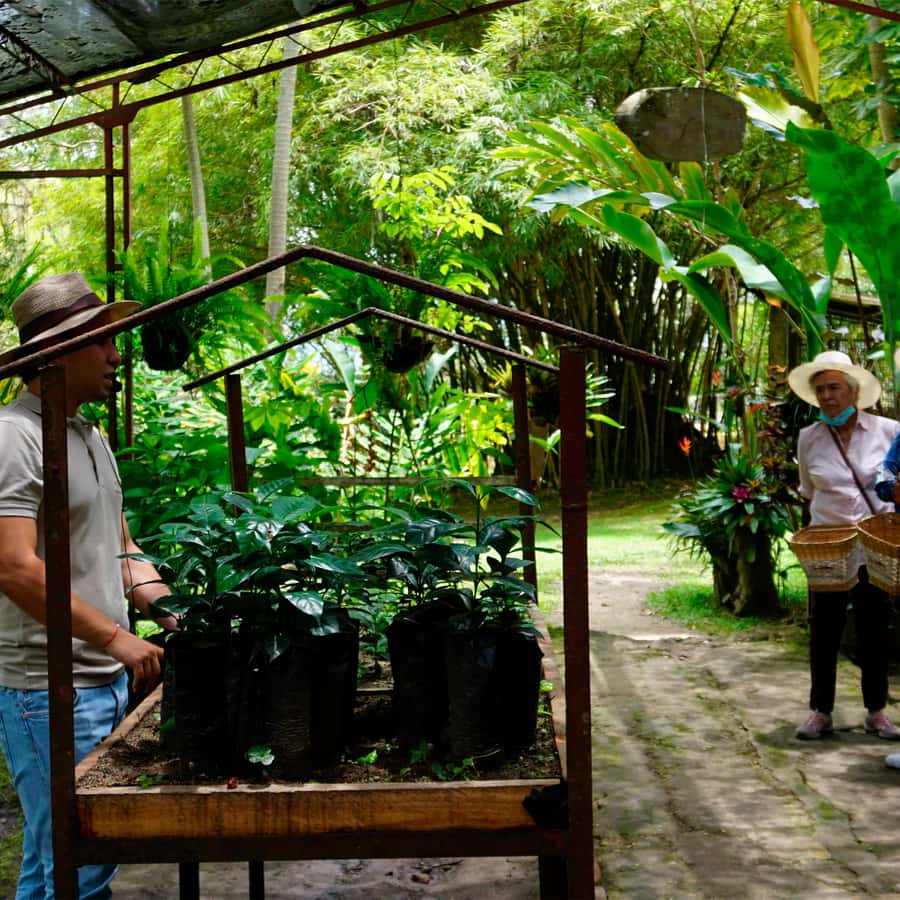 From Bogotá: Coffee Farm and Tequendama Falls Tour - FAQ