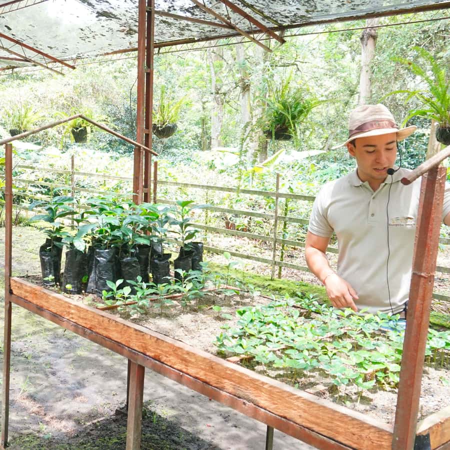 From Bogotá: Coffee Farm and Tequendama Falls Tour - The drive south: scenic, useful, and sometimes slow