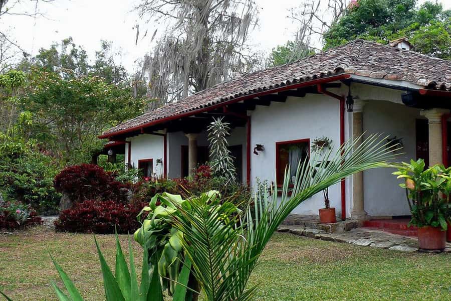 From Bogotá: Coffee Farm Experience Private Day Tour - Orchids, birds, and the colonial setting