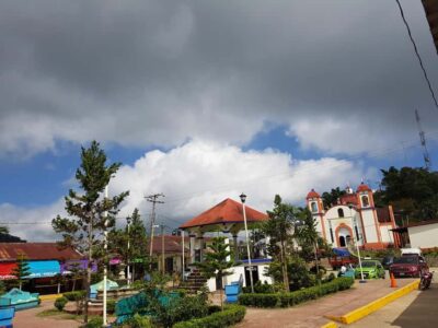 3 Levels, Coffee, Culture, and Nature Tour