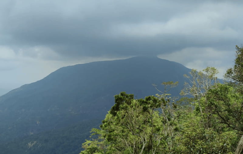 From Huatulco: Coffee and Mezcal Tour - Key points at a glance