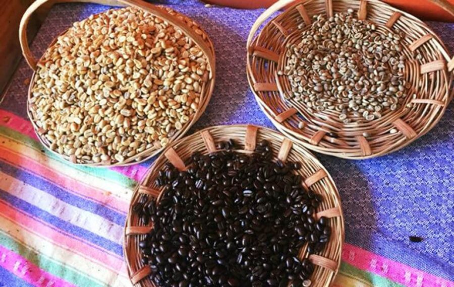 From Huatulco: Coffee and Mezcal Tour - What the price means for your day