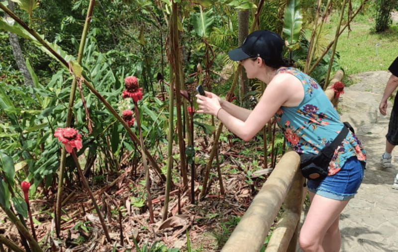From Huatulco: Coffee and Mezcal Tour - Pluma Hidalgo: a small town with a local rhythm