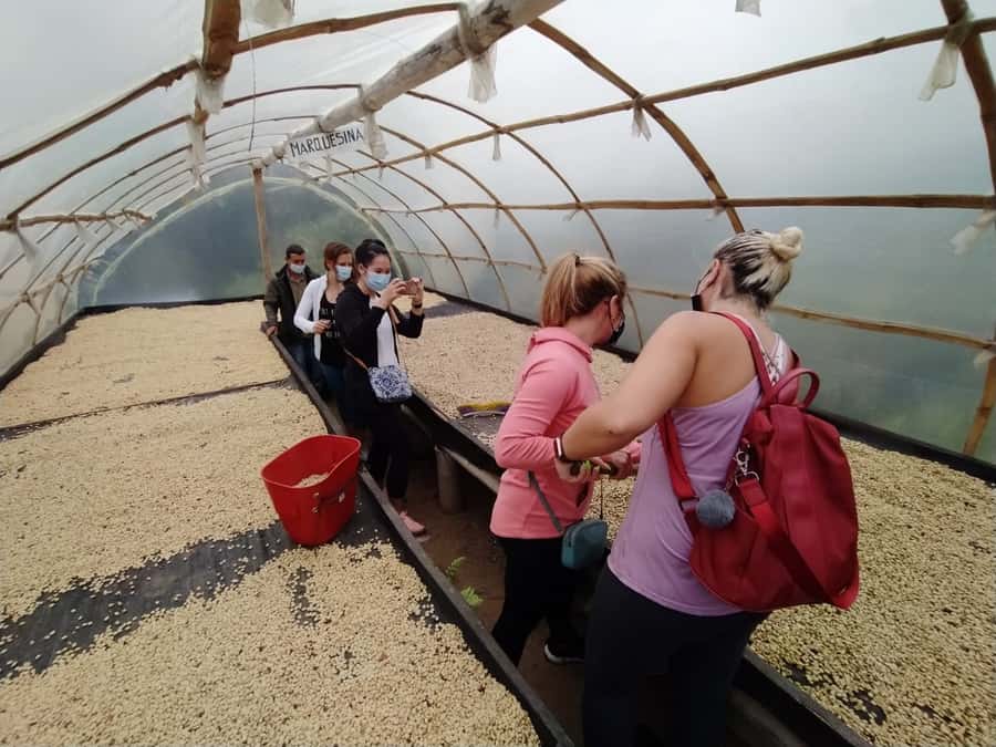 From Medellin: Private Envigado Coffee Tour with Tastings - Key points to know before booking