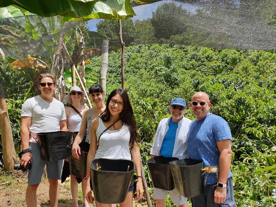 From Medellin: Private Envigado Coffee Tour with Tastings - Leaving Medellín for Envigado’s coffee country