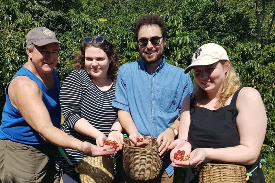 From Medellin: Private Envigado Coffee Tour with Tastings - Picking coffee beans yourself