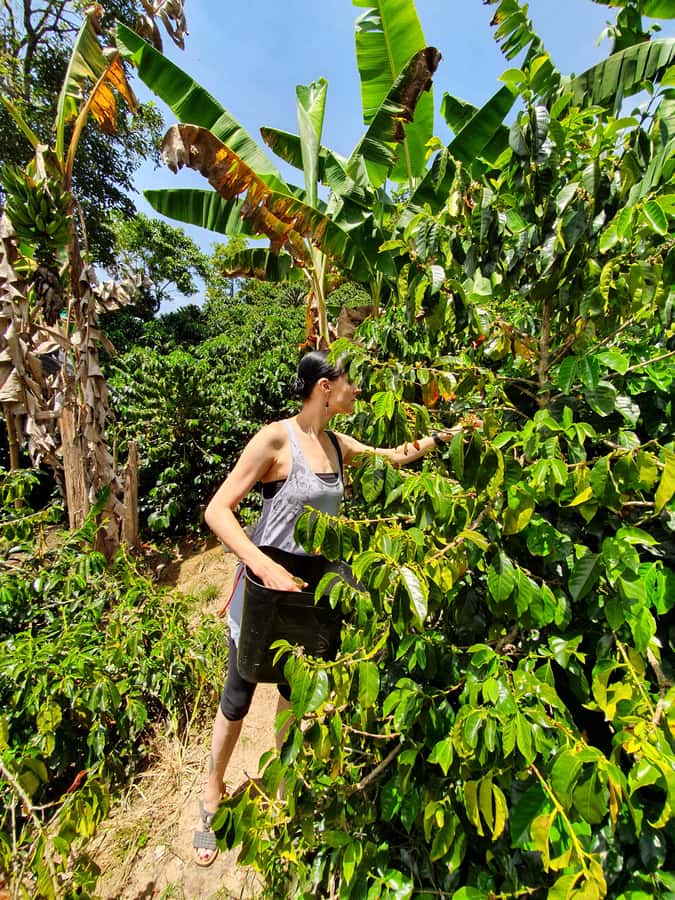From Medellin: Private Envigado Coffee Tour with Tastings - The guide and the tone of the visit