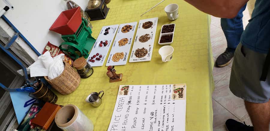 From Medellin: Private Envigado Coffee Tour with Tastings - Comfort, access, and practical planning