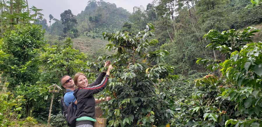 From Medellin: Private Envigado Coffee Tour with Tastings - Mountain views and a quieter side of Envigado
