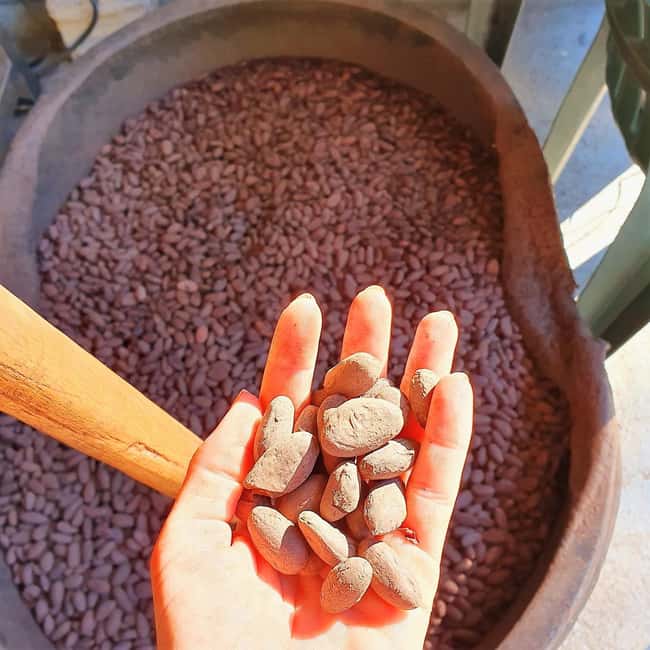 From Puerto Plata Priv: Cocoa, Coffee, Cigars & Local Market - Why this inland day is different from a beach excursion
