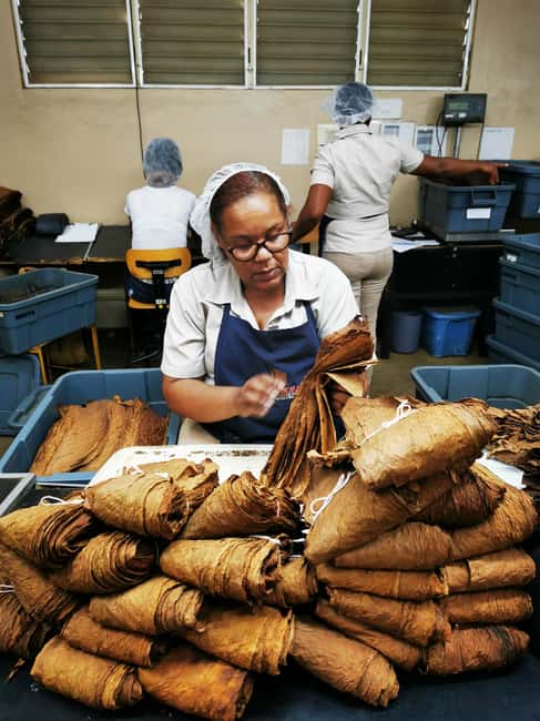 From Puerto Plata Priv: Cocoa, Coffee, Cigars & Local Market - Mercado Hospedaje Yaque and the everyday side of Santiago