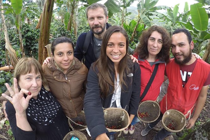 Full-Day Private Coffee Tour in Cocora Valley and Salento - Why this day works well from Pereira