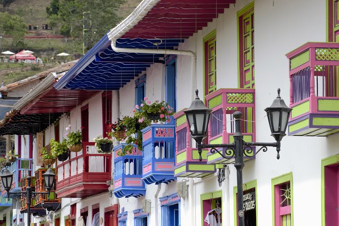 Full-Day Private Coffee Tour in Cocora Valley and Salento - The Alto de la Cruz viewpoint