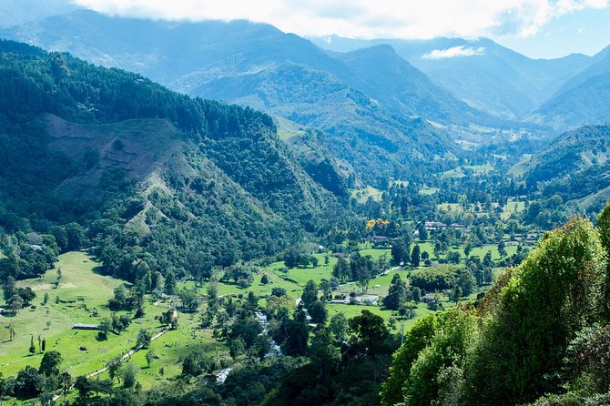 Full-Day Private Coffee Tour in Cocora Valley and Salento - Walking beneath Cocora’s wax palms