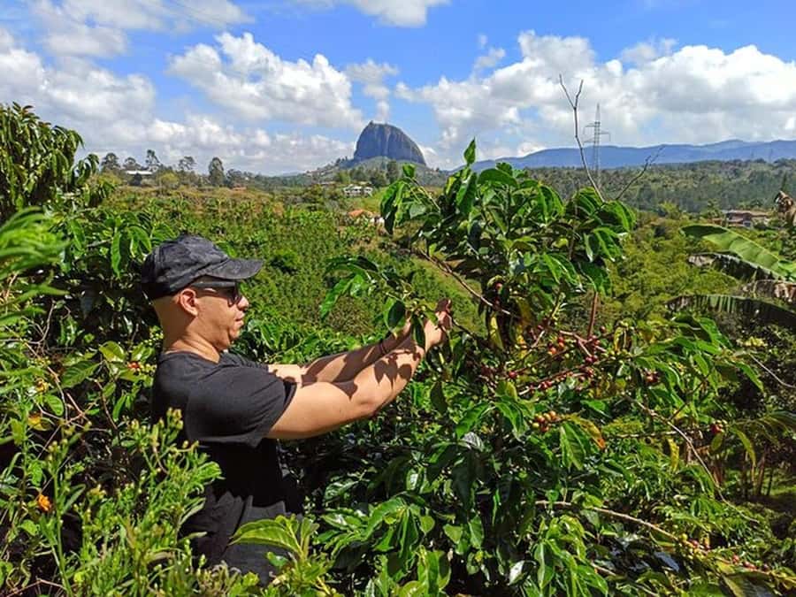 Guatapé & Coffee Farm, all in one day - Working Through Every Stage of Colombian Coffee
