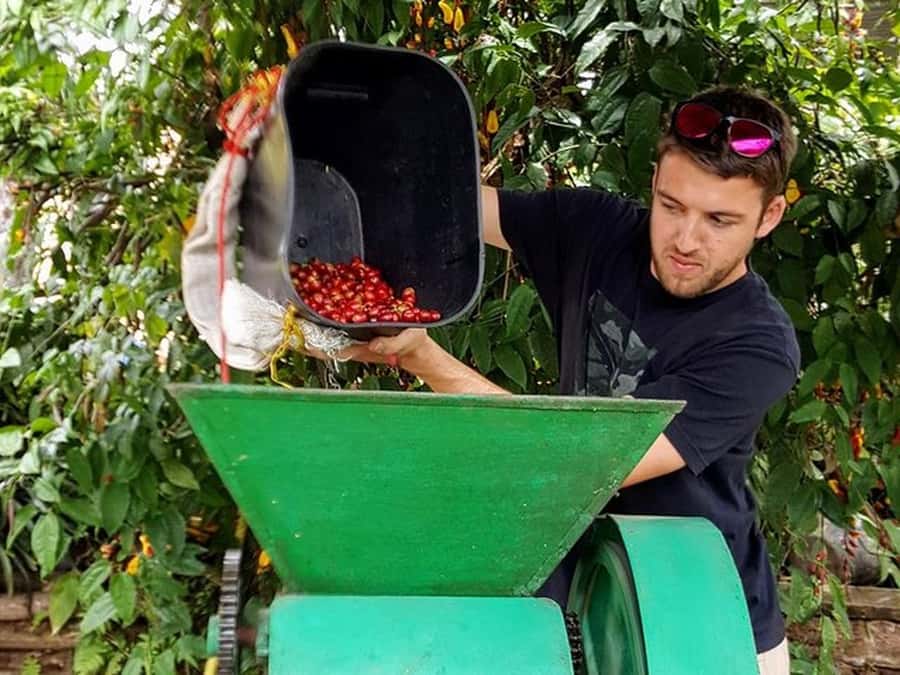 Guatapé & Coffee Farm, all in one day - Climbing Piedra del Peñol