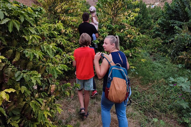 Guided Tour to the only coffee farm in Europe - Sustainable farming explained in plain terms