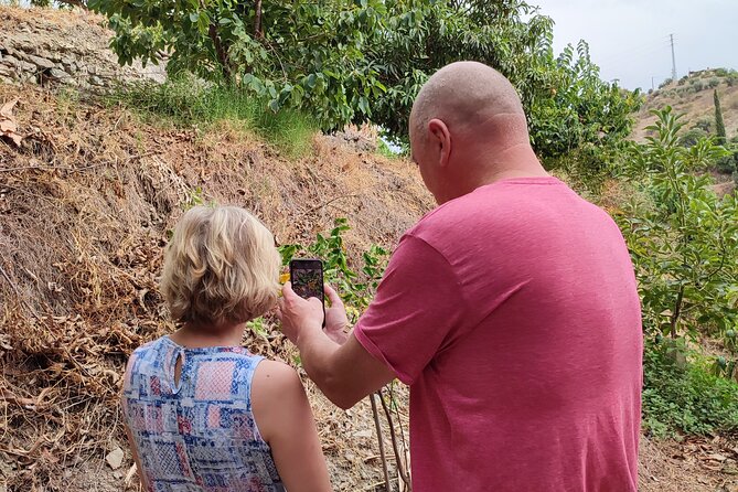 Guided Tour to the only coffee farm in Europe - Timing, heat, and what to wear