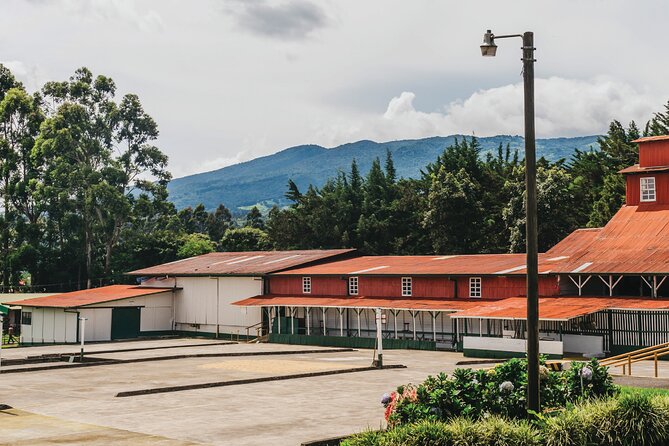 Hacienda Doka Coffee Experience Tour - From coffee plant to working factory