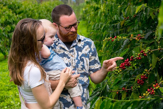 Hala Tree Coffee Farm Tour - The coffee flight is the tour’s best moment
