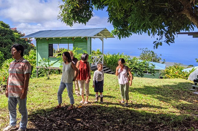 Hala Tree Coffee Farm Tour - Why the $10 price is such good value
