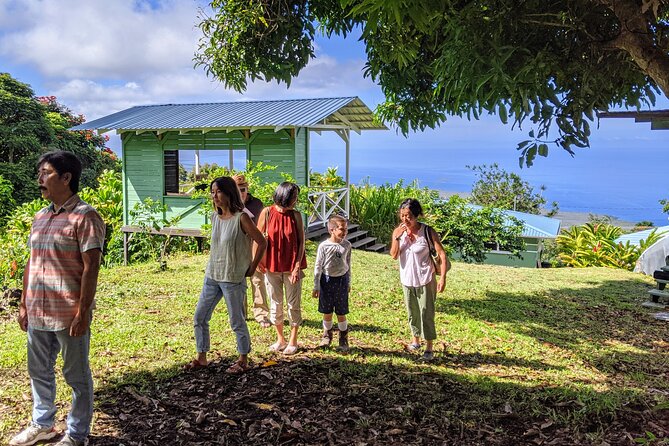 Hala Tree Coffee Farm Tour - How Hala Tree explains the coffee process
