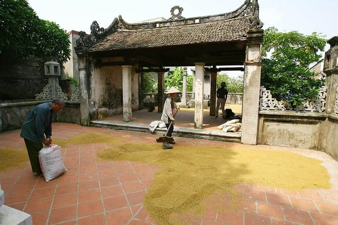 Hanoi Coffee Workshop Brew Taste and Culture Experience - What the guides add to the hour