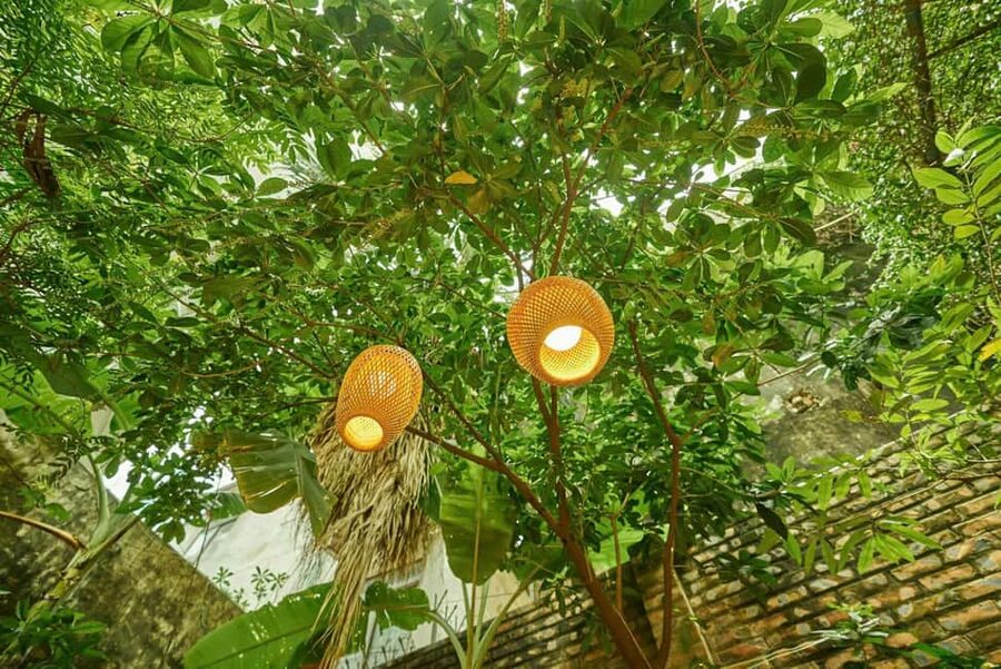 Hanoi: Rose Kitchen: Pho/Bun Cha/Nem+ Free Egg/ Salt Coffee - Finding the villa near Hoang Hoa Tham Street