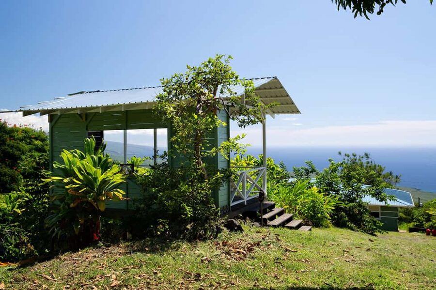 Hawaii: Hala Tree Coffee Farm Tour and Tasting - Walking Into Kona Coffee Country