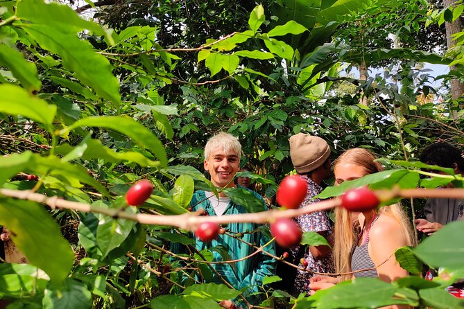 Hidden Arusha Waterfall, Coffee & Village Tour (All-Inclusive) - Key points at a glance