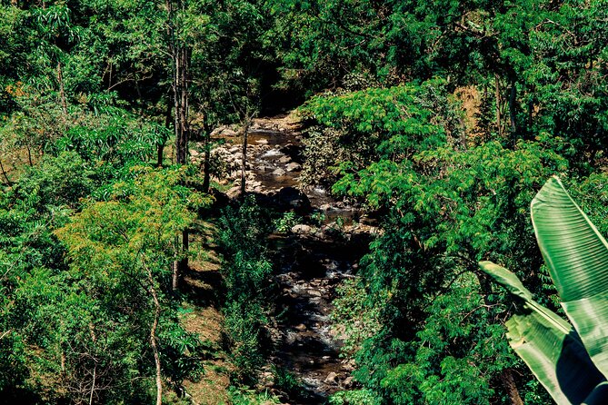 Hidden Arusha Waterfall, Coffee & Village Tour (All-Inclusive) - Private transport, timing, and practical planning