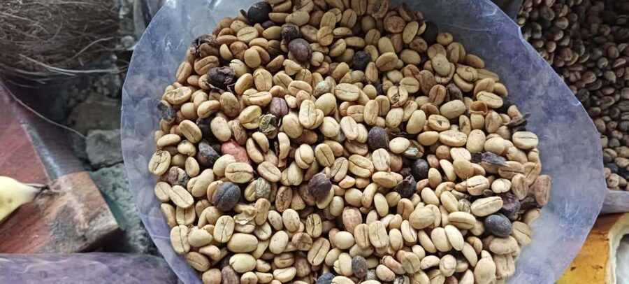 Higuey discovery, coffee and cocoa tasting from punta cana - Why this Punta Cana day trip offers good value