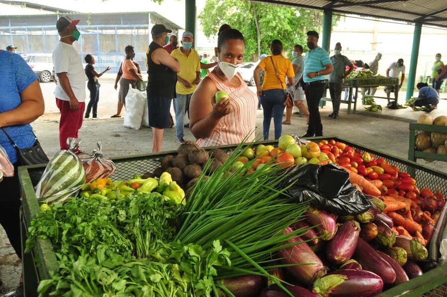 Higuey discovery, coffee and cocoa tasting from punta cana - Markets that show everyday Higüey