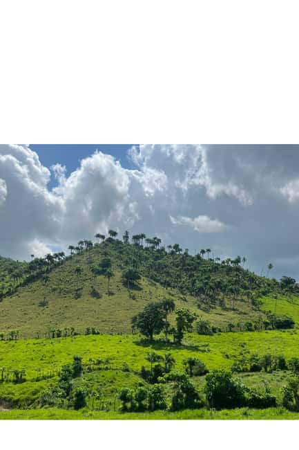 Higuey discovery, coffee and cocoa tasting from punta cana - Ending at Macao Beach