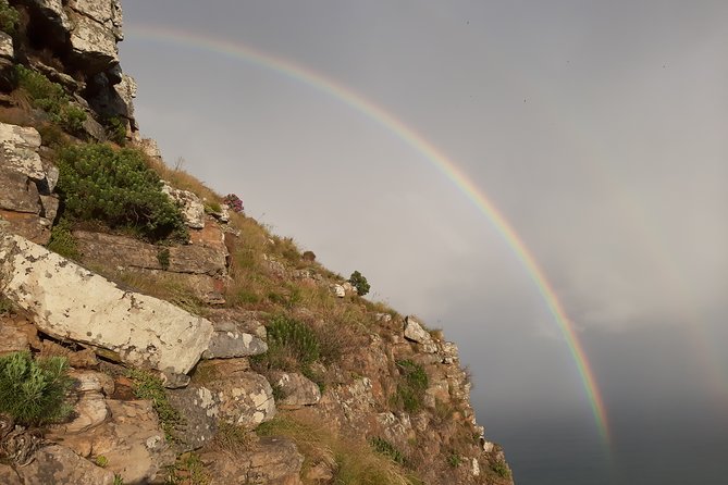 Hiking Lion's Head for sunrise, coffee & hotel Pick-up & Drop off - Coffee, pickup, and what the price covers