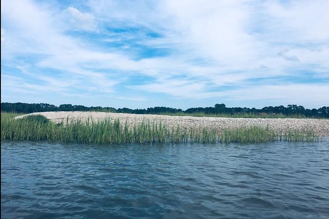 Hilton Head Morning Kayaking & Coffee Guided Tour - Wildlife sightings are possible, never promised