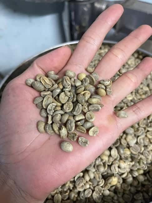 Hoi An:Coffee Making Class (Coffee: egg, Salt, Coconut, ...) - What the one-hour Hoi An coffee class is really about