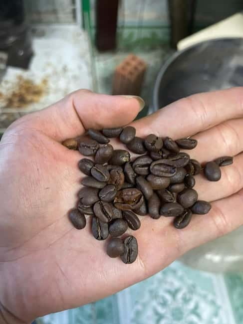 Hoi An:Coffee Making Class (Coffee: egg, Salt, Coconut, ...) - Choosing between phin, egg, salt, and coconut coffee