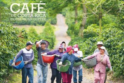 Horseback our Hacienda – 4 hours Coffee Tour