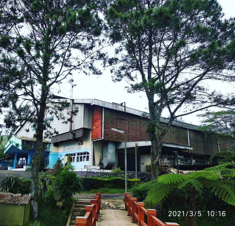 Jakarta :Volcano, HotSpring, Tea Factory, RiceField, &Coffee - Key points to know before booking