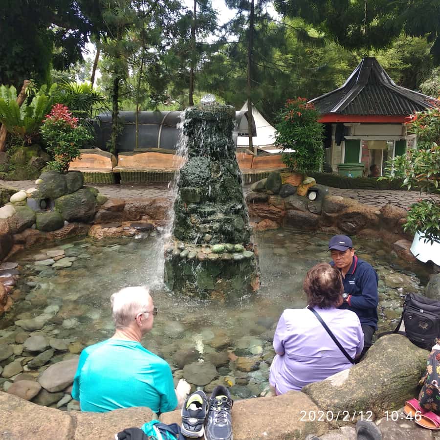Jakarta :Volcano, HotSpring, Tea Factory, RiceField, &Coffee - Who will enjoy this day most