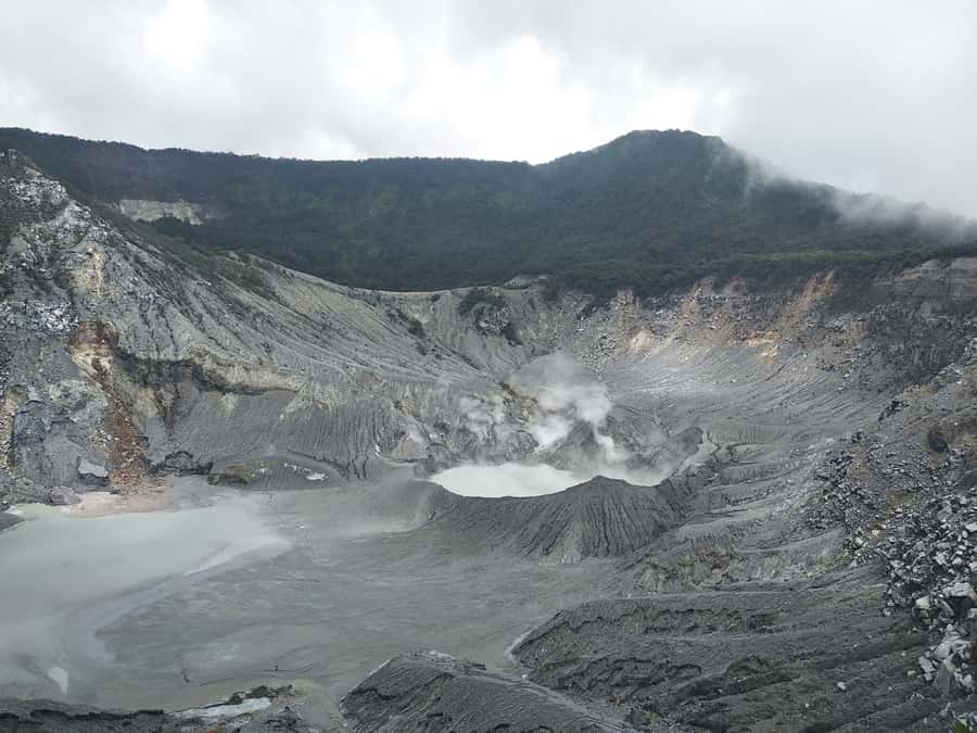 Jakarta :Volcano, HotSpring, Tea Factory, RiceField, &Coffee - Why this 12-hour trip works for a Jakarta stay