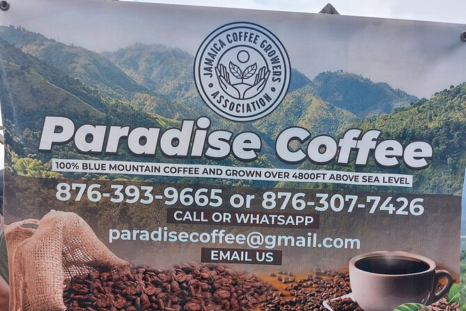 Jamaica Blue Mountain Coffee Tour and sightseeing experience - Is $190 per person a fair price?