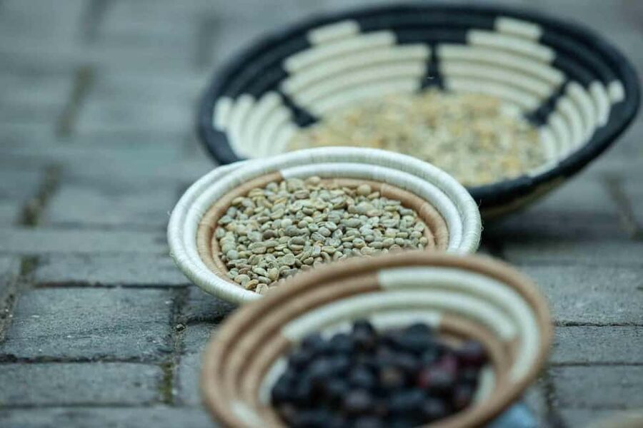 Kigali: Traditional Coffee Experience ( Bean to Brew) - Who will enjoy this coffee experience most