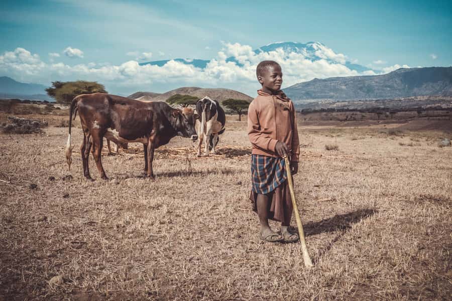 Kilimanjaro: Maasai Village Visit, Waterfalls, & Coffee Tour - Key details at a glance