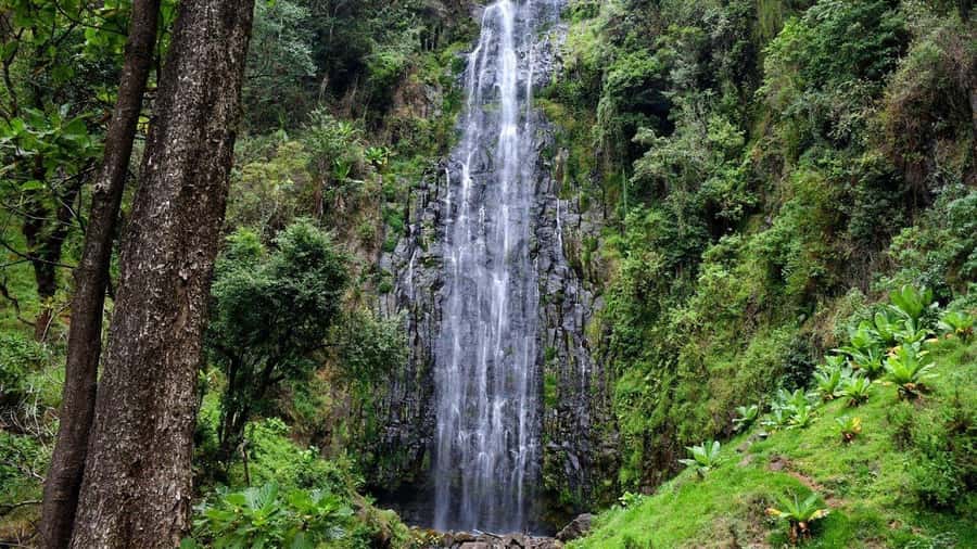 Kilimanjaro: Maasai Village Visit, Waterfalls, & Coffee Tour - What the guides add to the day