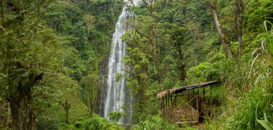 Kilimanjaro: Maasai Village Visit, Waterfalls, & Coffee Tour - Who should book this experience